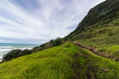 Neuseeland - Nordinsel - Westküste - Managanui Bluff