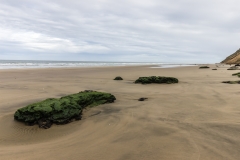 Neuseeland - Nordinsel - Westküste - Pouto