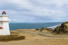 Neuseeland - Nordinsel - Westküste - Pouto