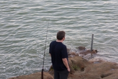 Neuseeland - Nordinsel - Westküste - Pouto