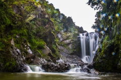 20170720-1241IM__3917