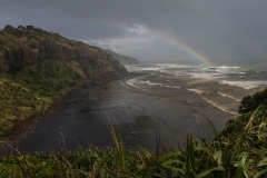 Neuseeland - Nordinsel - Westküste nahe Auckland - bei der Morus (Gannet) Kolonie in Muriwai