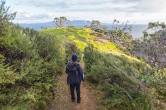 Neuseeland - Great Barrier Island - Whalers Lookout