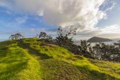 Neuseeland - Great Barrier Island - Whalers Lookout