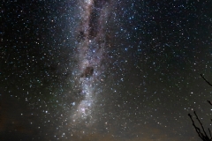 Neuseeland - Great Barrier Island - Der Nachthimmer über der Insel - am Horizont ist Auckland in 100km Entfernung