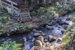 Neuseeland - Great Barrier Island - Wanderweg nach Medlands