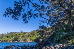 Neuseeland - Great Barrier Island - Dolphins Bay