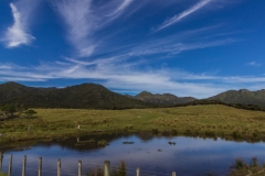 Neuseeland - Great Barrier Island