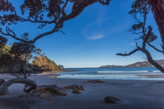 Neuseeland - Great Barrier Island - am Strand bei Whangapoua, Blick auf Rakitu