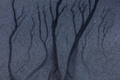 Neuseeland - Great Barrier Island - am Strand bei Whangapoua, Blick auf Rakitu