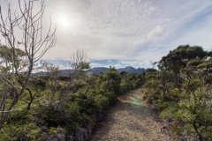 Neuseeland - Great Barrier Island - Te Ahumata