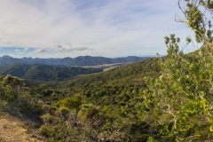 Neuseeland - Great Barrier Island - Te Ahumata