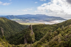 Neuseeland - Great Barrier Island - Palmers Track zu Mount Hobson