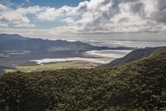 Neuseeland - Great Barrier Island - Palmers Track zu Mount Hobson