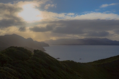 Neuseeland - Great Barrier Island - Harataonga Walkway
