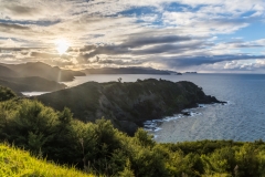 Neuseeland - Great Barrier Island - Harataonga Walkway