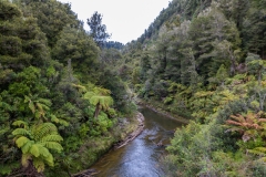 Neuseeland - Nordinsel - Forgotten World Highway