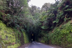 Neuseeland - Nordinsel - Forgotten World Highway