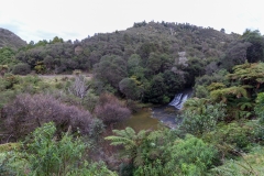 Neuseeland - Nordinsel - Forgotten World Highway