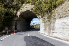 Neuseeland - Nordinsel - Forgotten World Highway