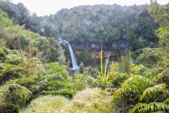 Neuseeland - Nordinsel - Dawsons Falls