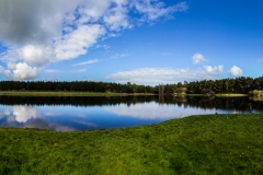 Neuseeland - Nordinsel - Dudding Lake