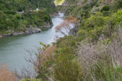 Neuseeland - Nordinsel - Tawa Loop Walk im Manawatu Gorge