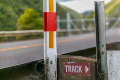 Neuseeland - Nordinsel - Tawa Loop Walk im Manawatu Gorge