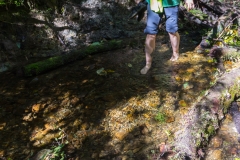 Neuseeland - Nordinsel - Manawatu Scenic Route - Glühwürmchenhöhle mit Flussdurchquerung - Ausrüstung ist alles :-)