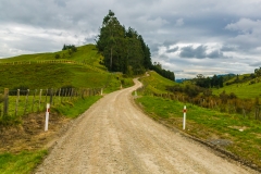 Neuseeland - Nordinsel - Manawatu Scenic Route