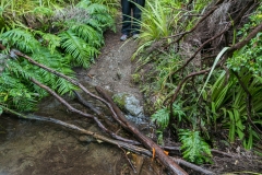 Neuseeland - Nordinsel - Kaweka Lake Track, so mit Brücken