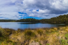 Neuseeland - Nordinsel - Kaweka Lake Track