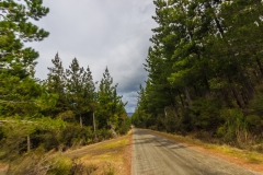 Neuseeland - Nordinsel - die Schotterstraßen durch die riesigen Forstgebiete sind manchmal besser als die Highways