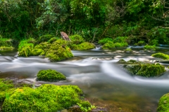 Neuseeland - Nordinsel - Ostküste - Maraetotara Falls