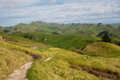 Neuseeland - Nordinsel - Ostküste - Te Mata Peak