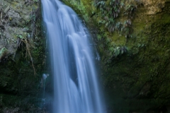 Neuseeland - Nordinsel - Ostküste - Te Ana Falls