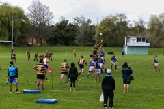 Neuseeland - Nordinsel - Ostküste - Bay of Plenty - Tauranga - irgendein Rugby Spiel :-)