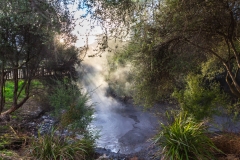 Neuseeland - Nordinsel - Rotorua - Kuirau Park