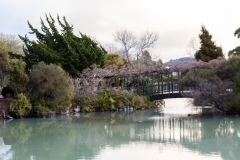 Neuseeland - Nordinsel - Rotorua - Kuirau Park