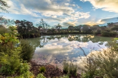 Neuseeland - Nordinsel - Rotorua - Kuirau Park