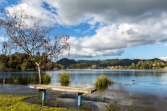 Neuseeland - Nordinsel - Rotorua - Lake Okareka