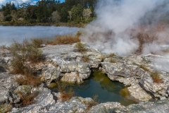 Neuseeland - Nordinsel - Rotorua - Whakarewarewa - The Living Maori Village