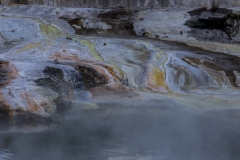 Neuseeland - Nordinsel - Rotorua - Whakarewarewa - The Living Maori Village