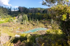 Neuseeland - Nordinsel - Rotorua - Whakarewarewa - The Living Maori Village