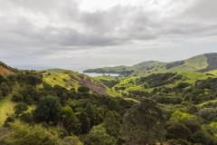 Neuseeland - Nordinsel - Coromandel