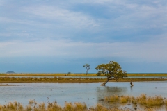 Neuseeland - Nordinsel - Coromandel