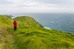 Neuseeland - Nordinsel - Coromandel - Muriwai Walkway
