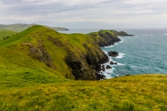 Neuseeland - Nordinsel - Coromandel - Muriwai Walkway