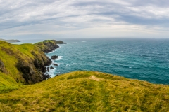 Neuseeland - Nordinsel - Coromandel - Muriwai Walkway