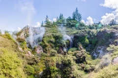Neuseeland - Nordinsel - Taupo - Moon Crater Valley